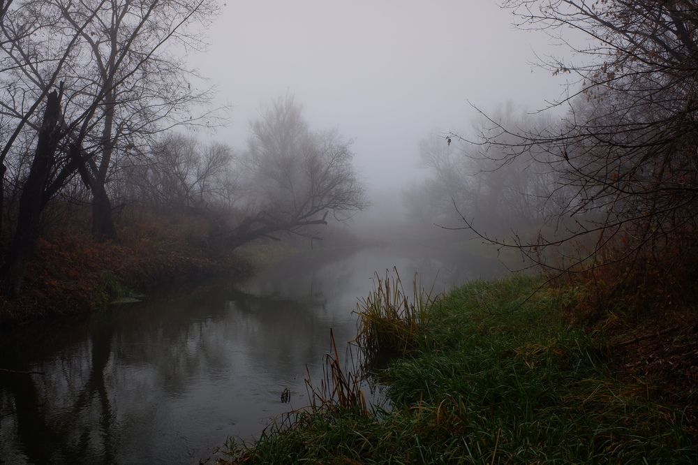 Осенний туман