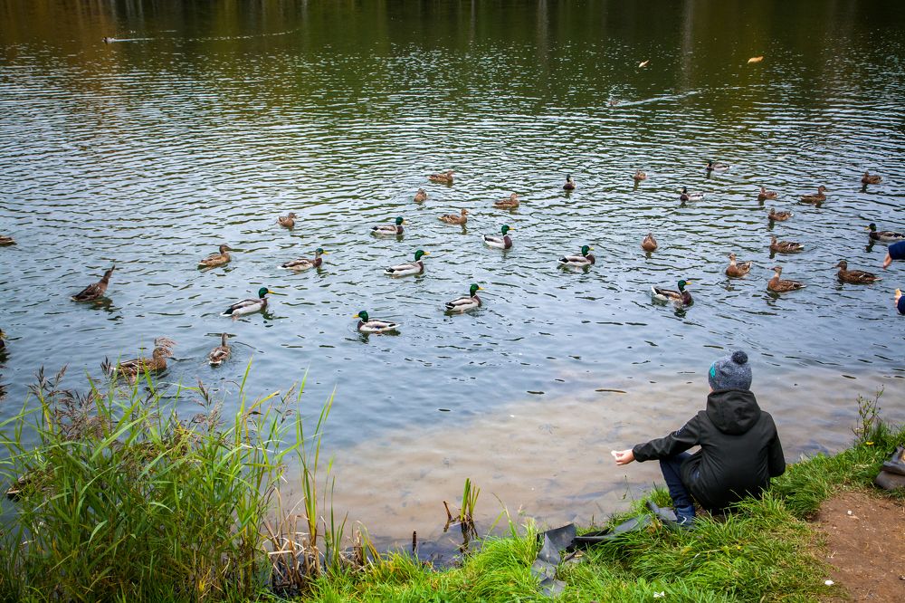 Photograph by Балакин Евгений