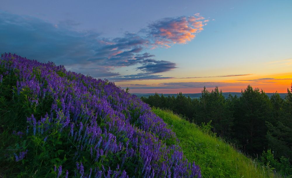 Photograph by Василий Быстрицкий