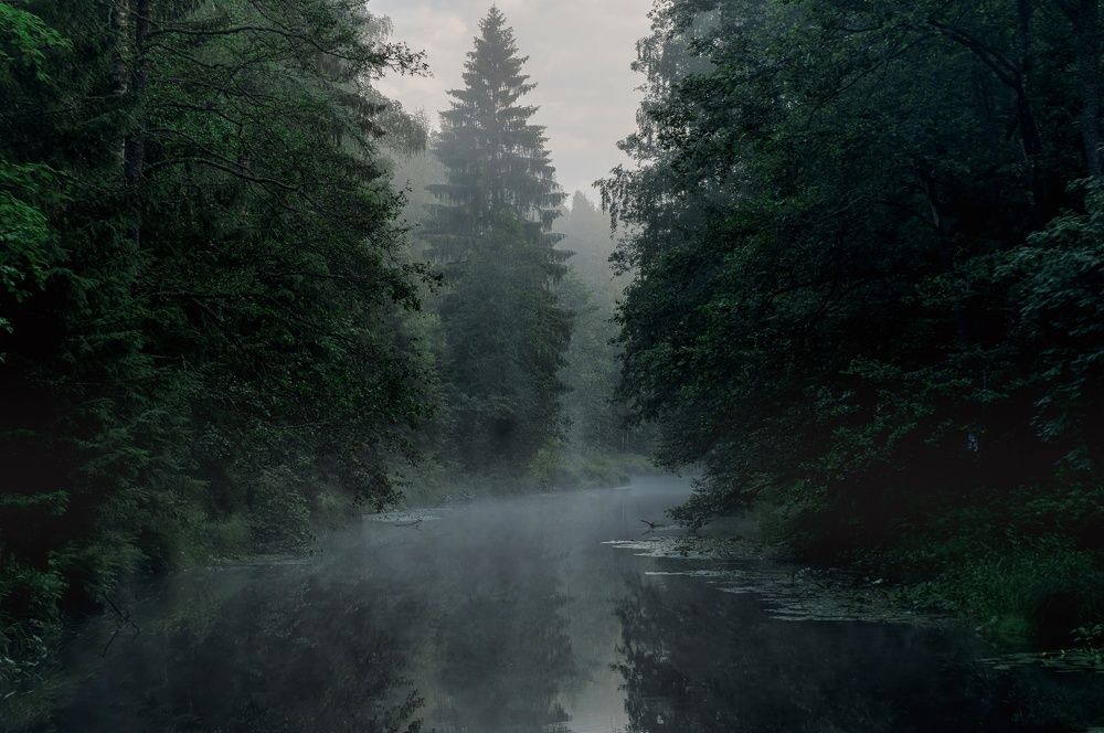 Photograph by Максим Кольцов