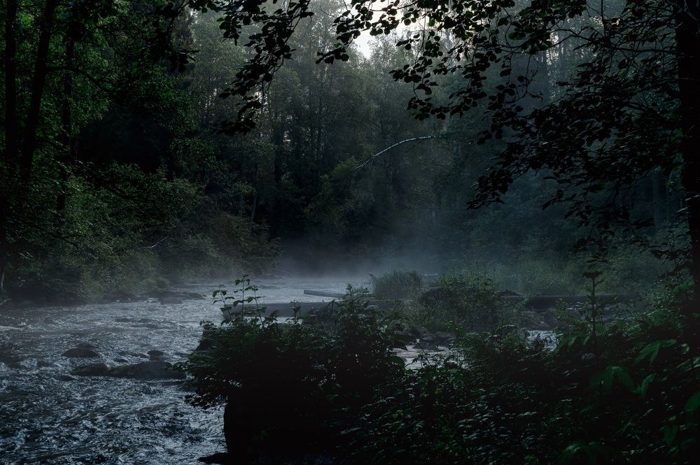 Photograph by Максим Кольцов