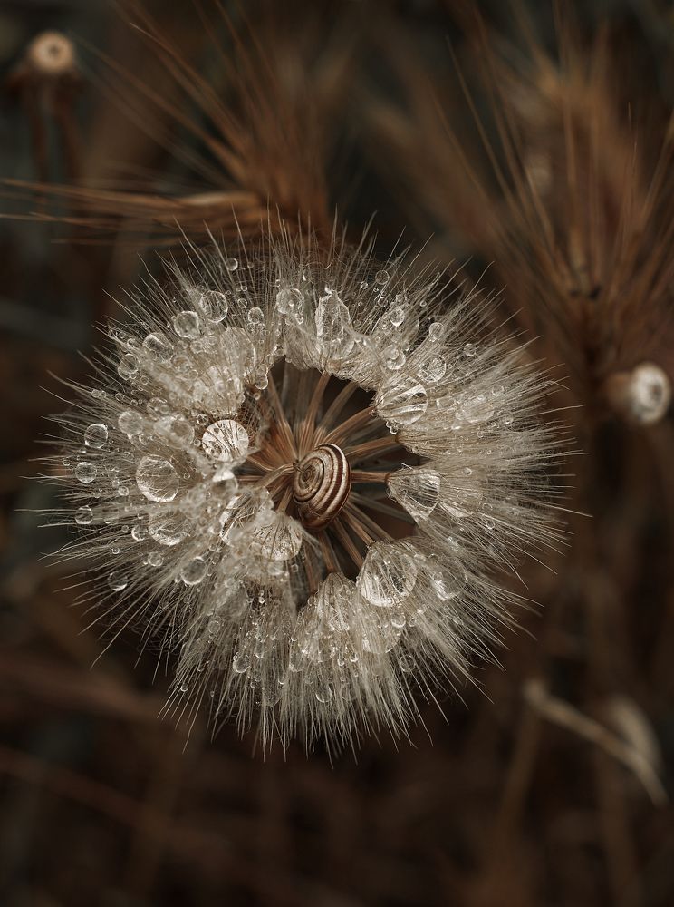 Ее маленькая Вселенная