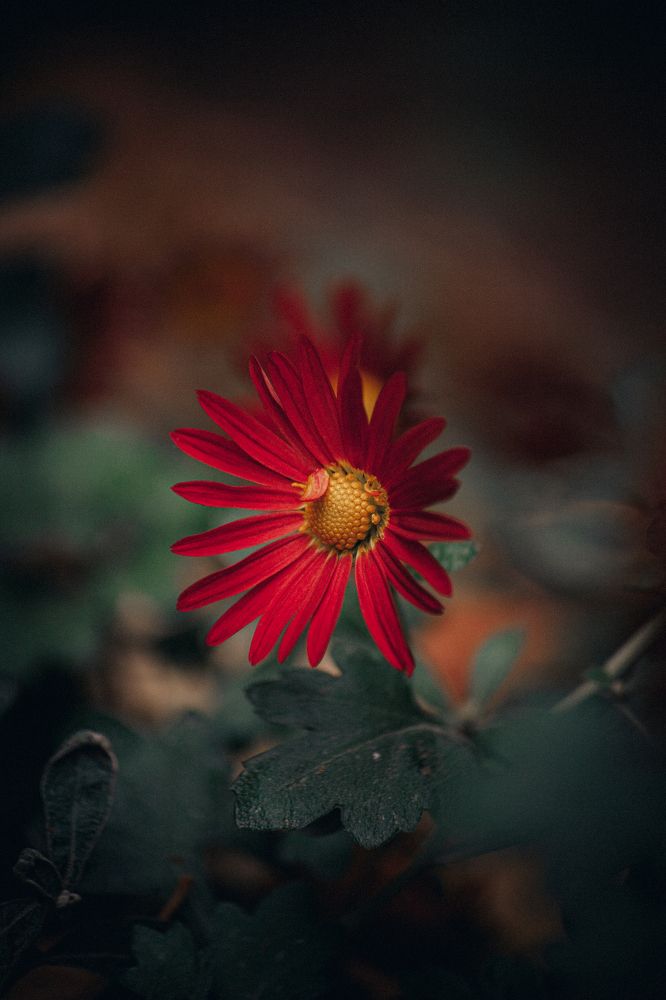 Photograph by Мария Кабаева