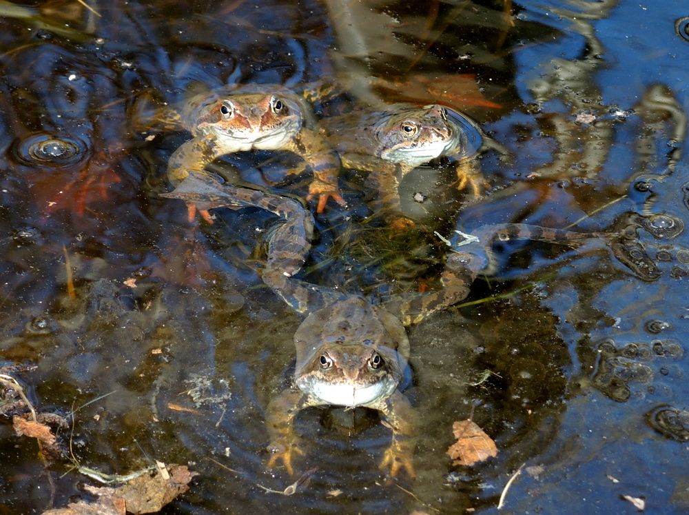 Photograph by Марина Колядина