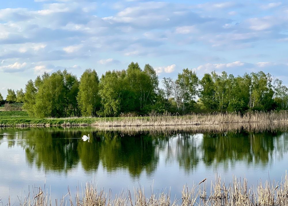 Photograph by Анатолий Люкевич