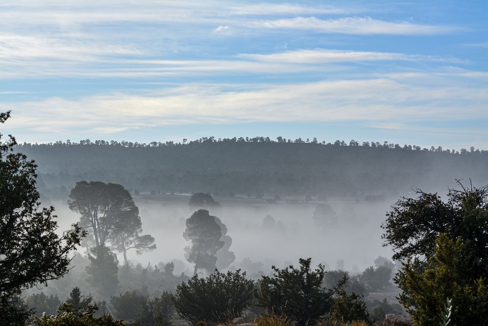 Photograph by Bachir Rabouh