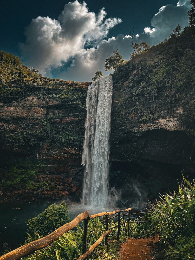 Photograph by Aditya Borah