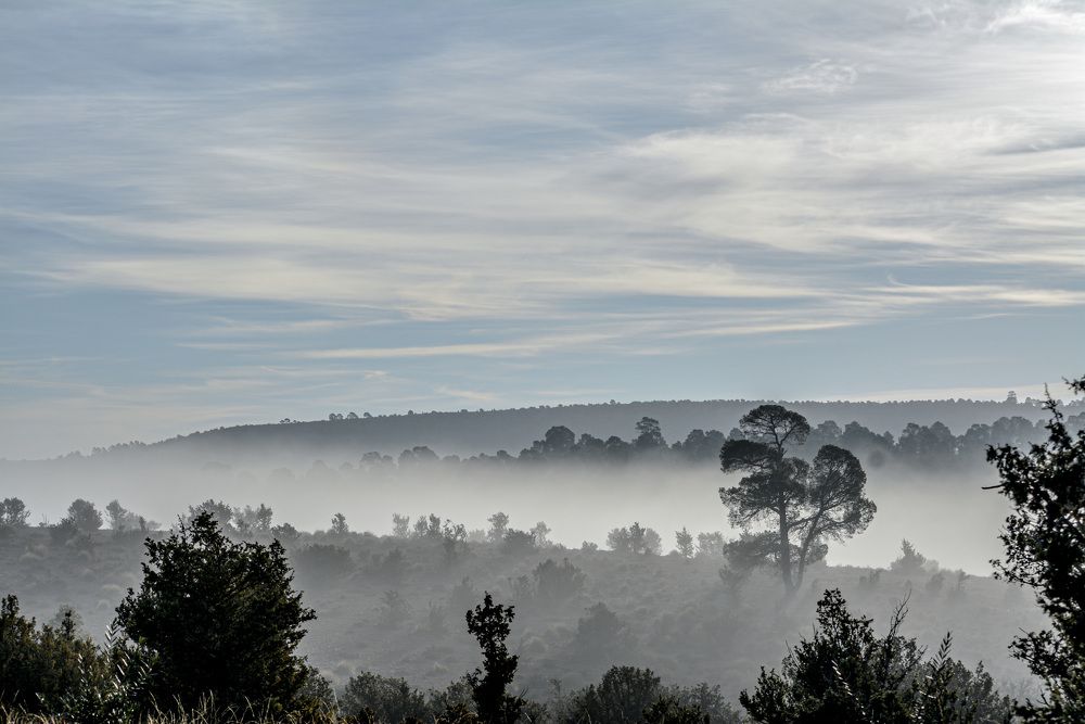 Photograph by Bachir Rabouh