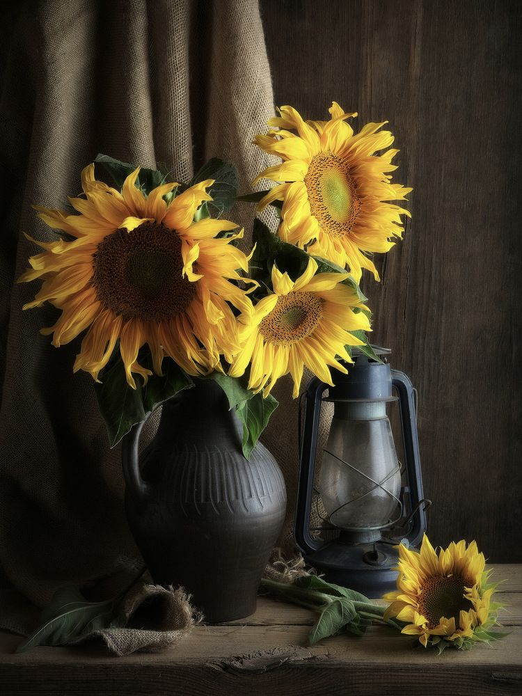 Photograph by Сергей Алексеев