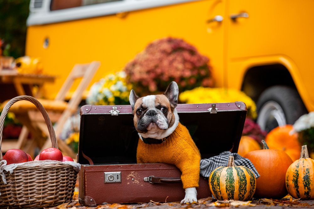 Photograph by Татьяна Степанова