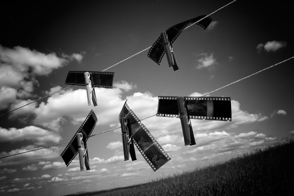 Photograph by laszlóvidok