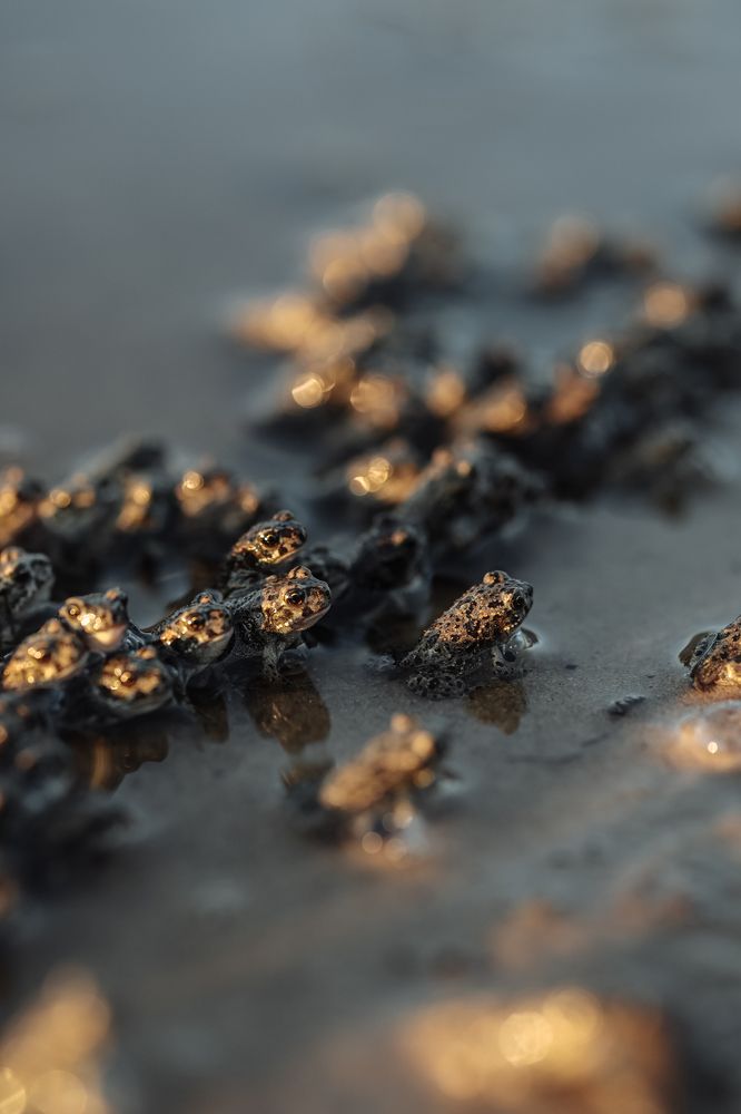 Photograph by Богдан Тарасов