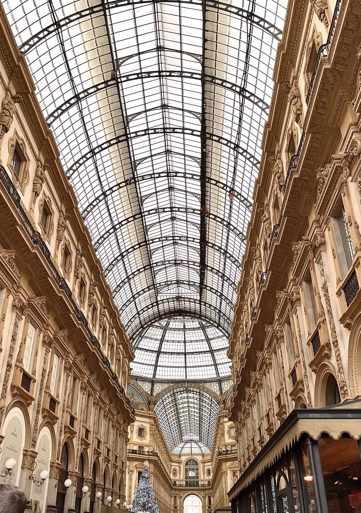 Photograph by Снежана Липилина