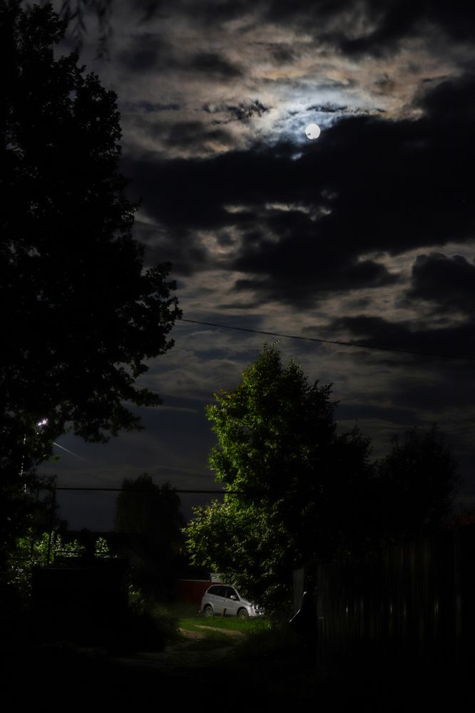 Photograph by Богдан Тарасов