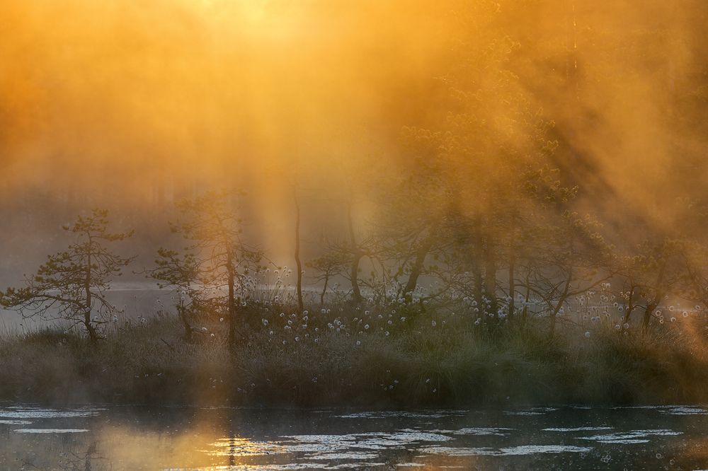 БолотоScape III