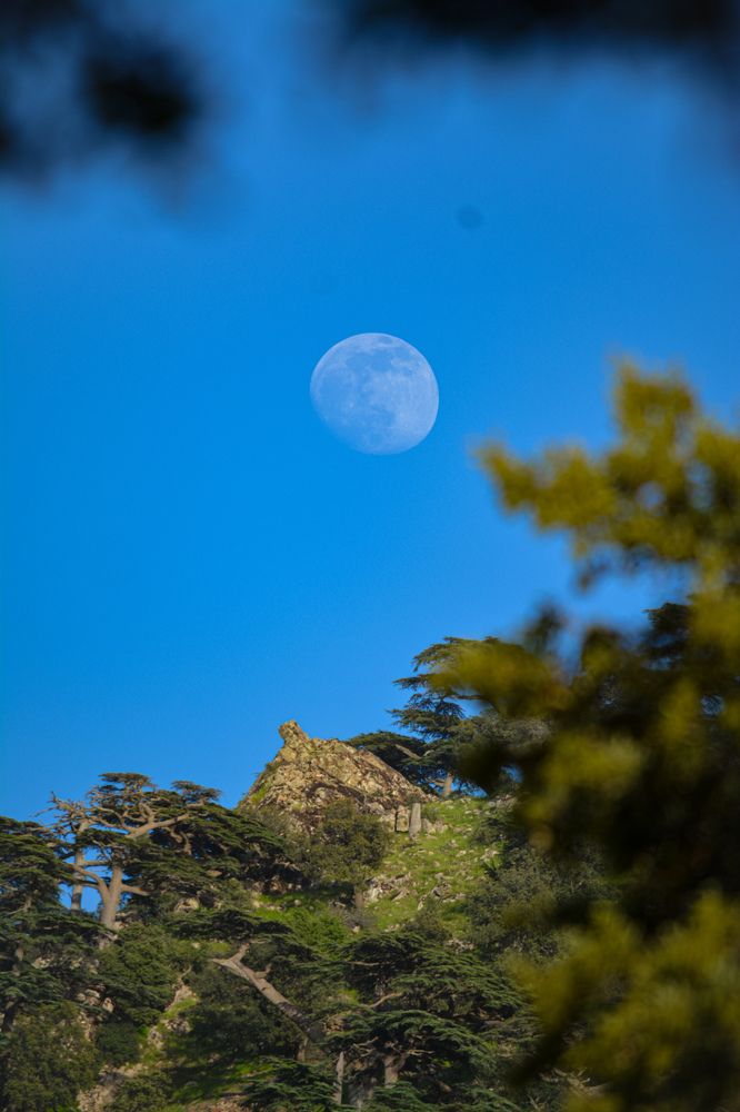 Photograph by Bachir Rabouh