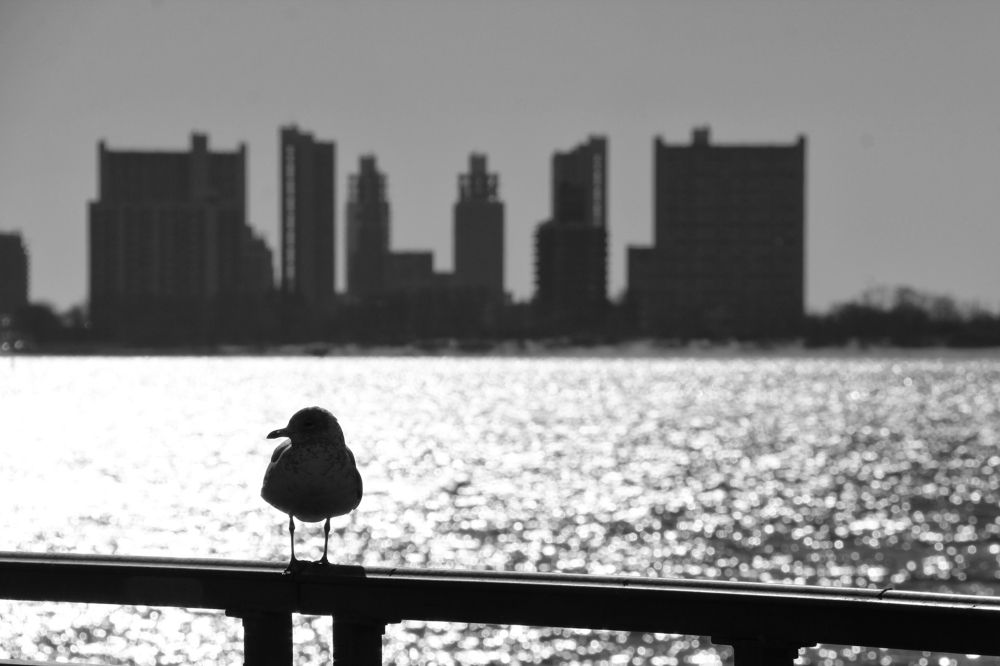 Photograph by László Vidók