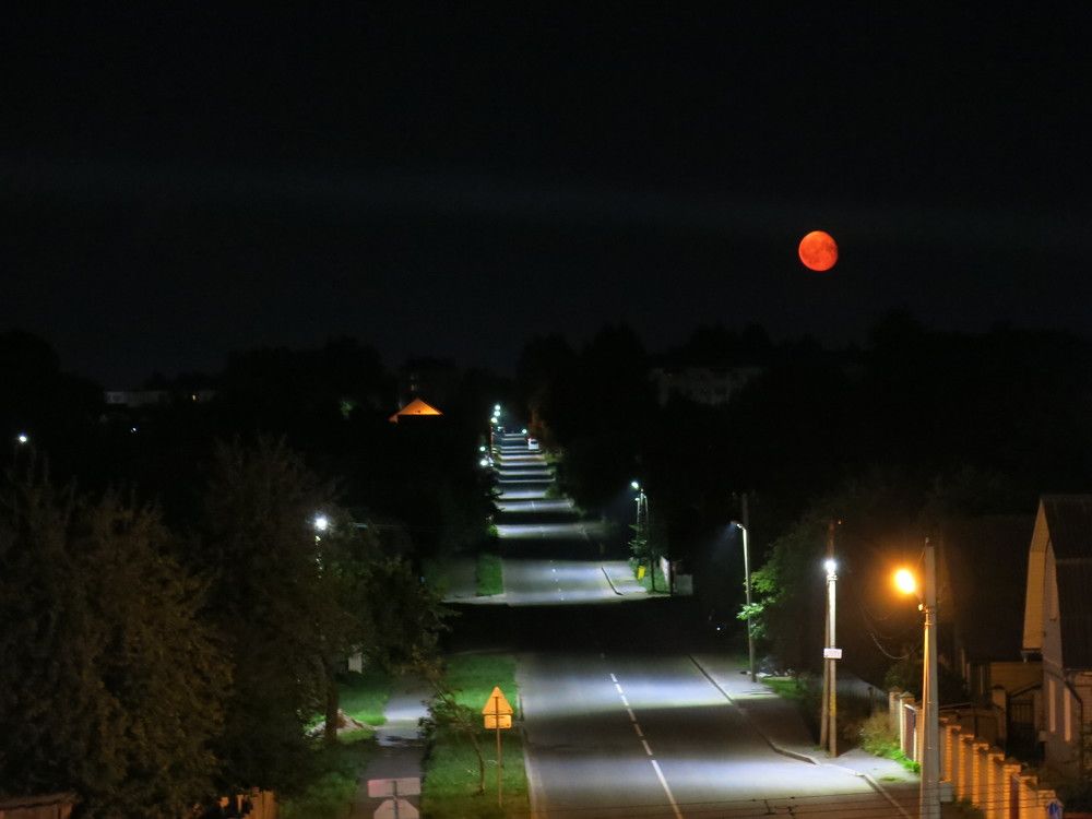 Photograph by ЭЛЬМИРА  ИСМАИЛОВА