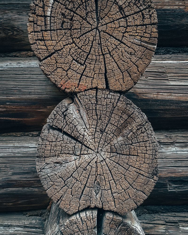 Photograph by Татьяна Штунь