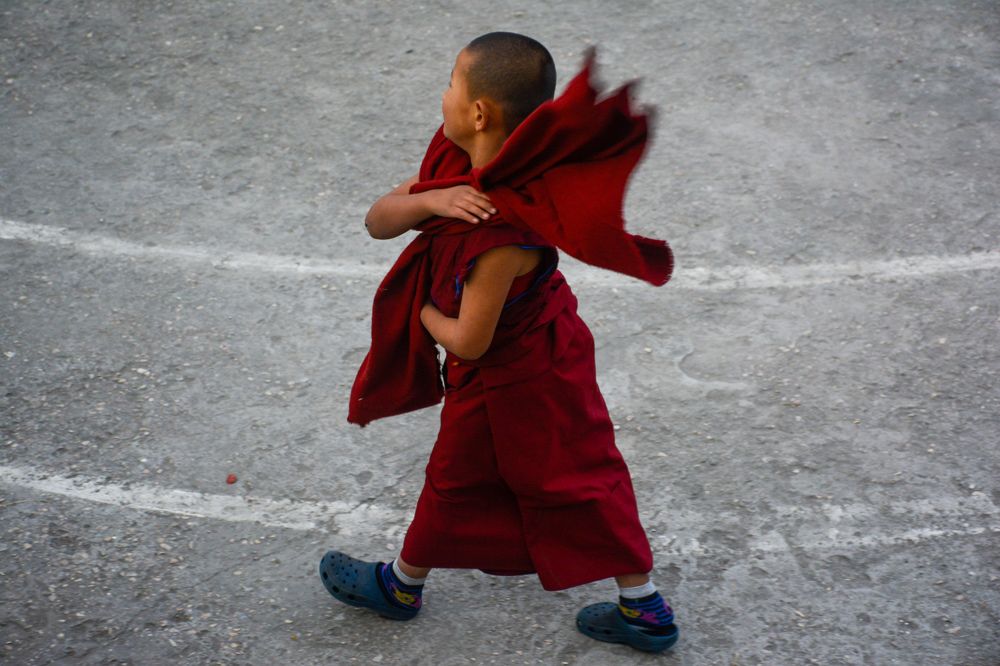 The Mini Monk in Motion