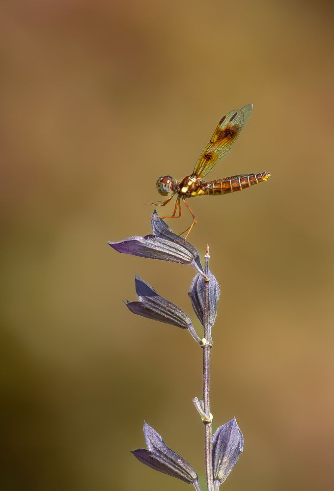 Photograph by jackie schletter