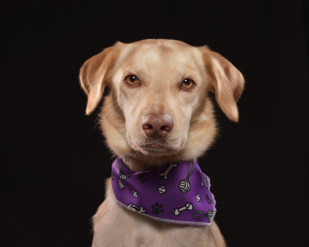 Photograph by MARCO GUERRA