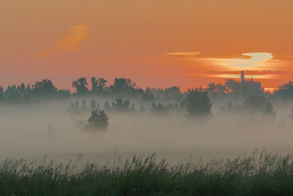 Photograph by Олег Милеев (Каминцев)