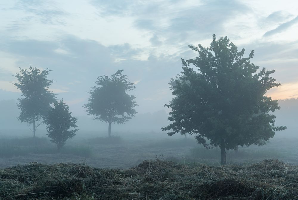 Photograph by Олег Милеев (Каминцев)