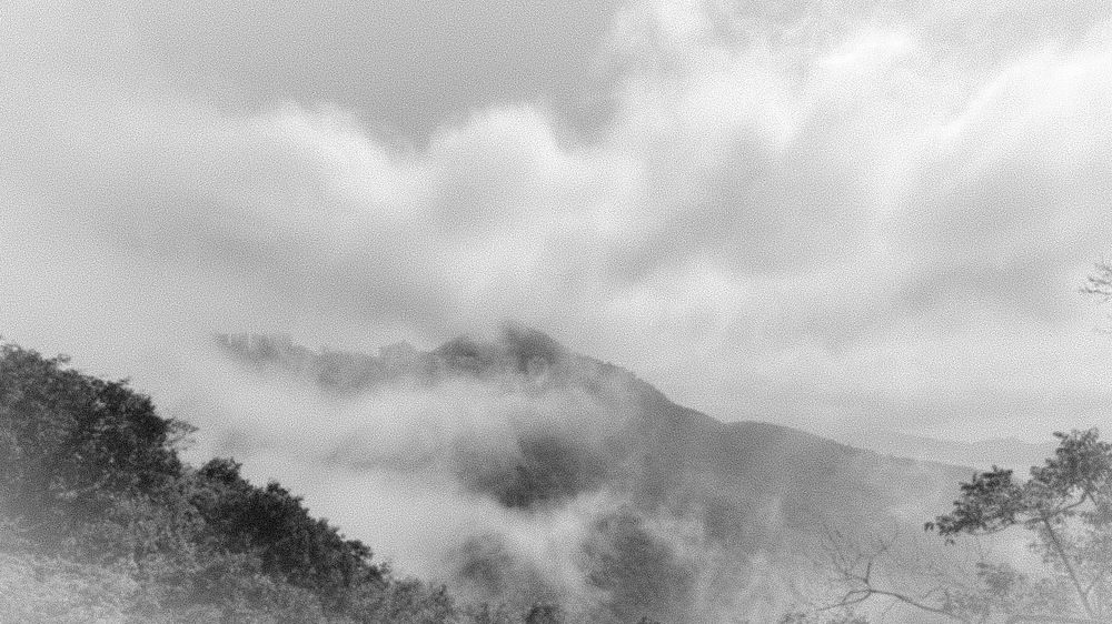 Photograph by Benny Chan