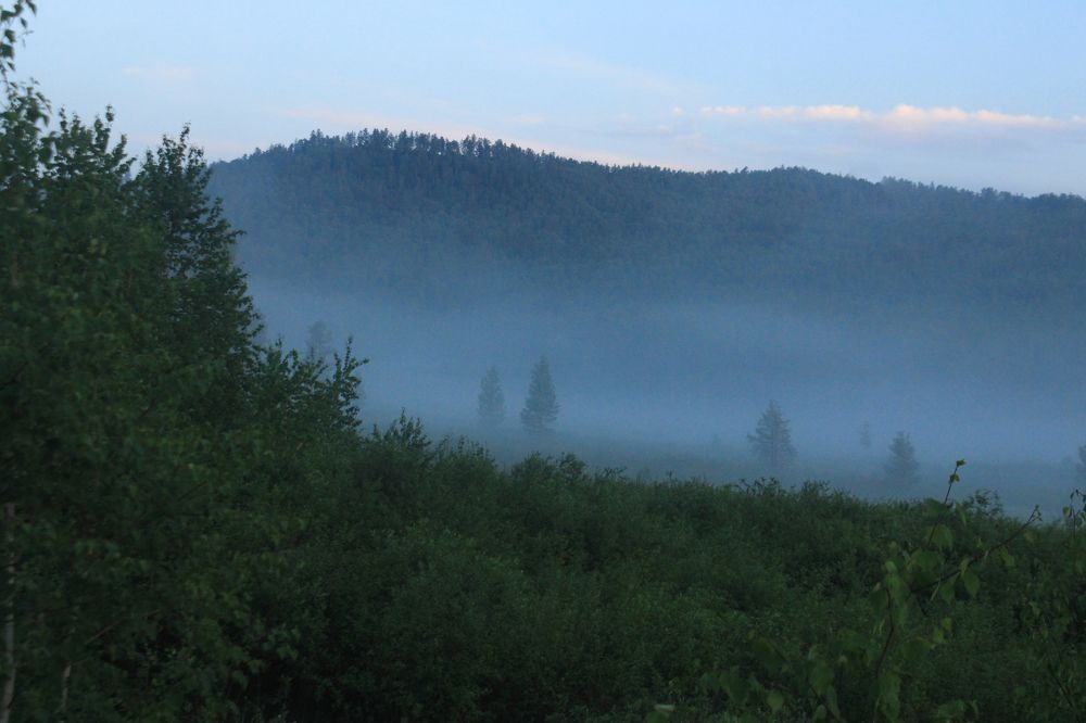 Фотография автора Пешков Егор