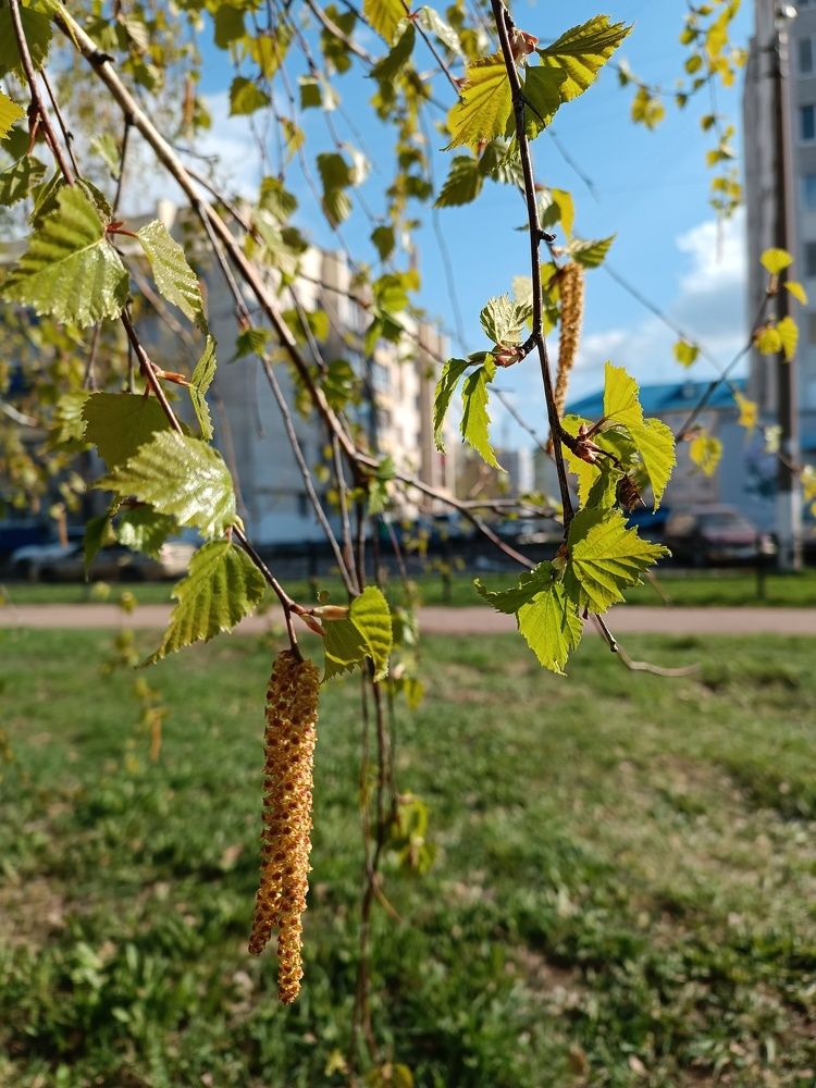 Photograph by Роза