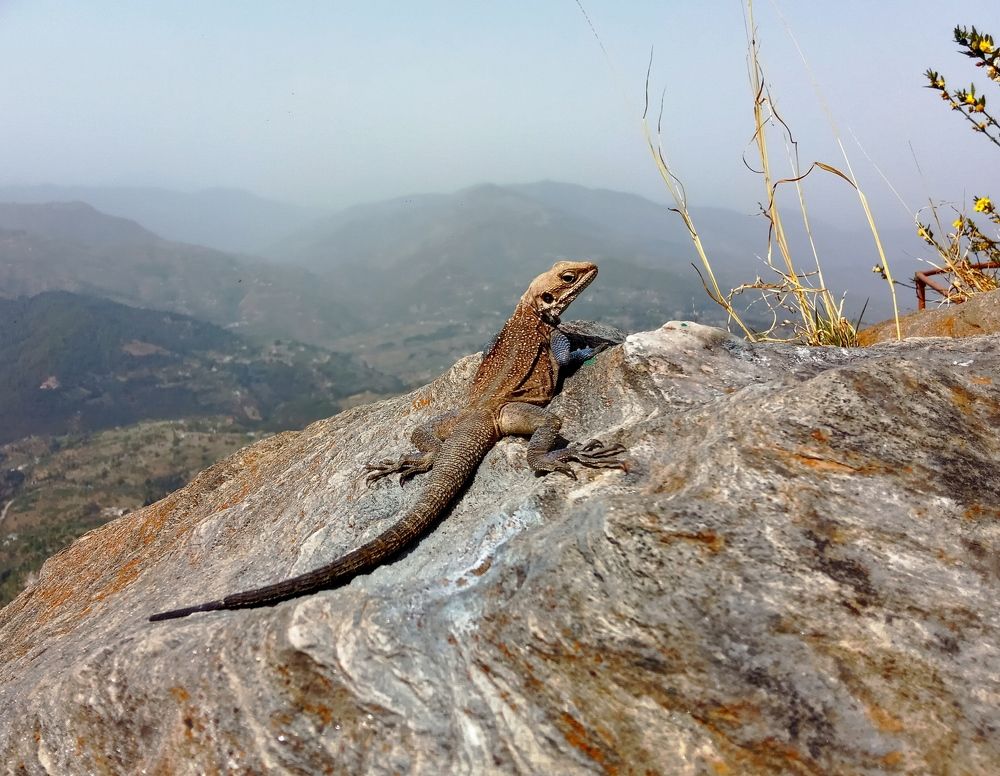 Photograph by Kapil Singh