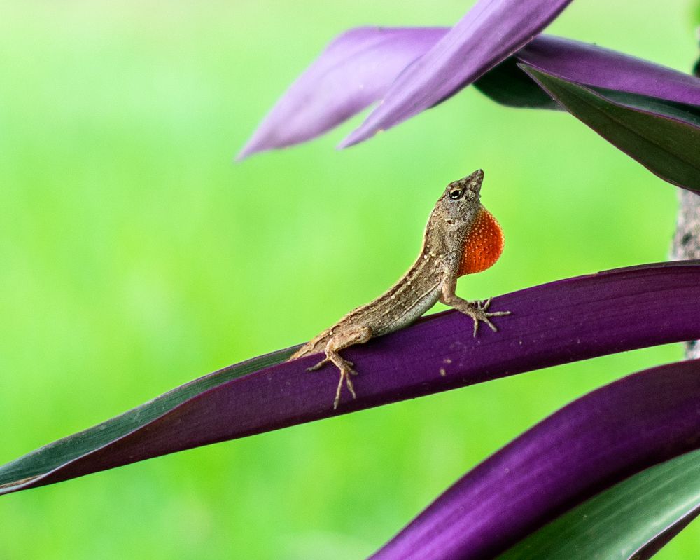Photograph by Focus Estudio Fotográfico