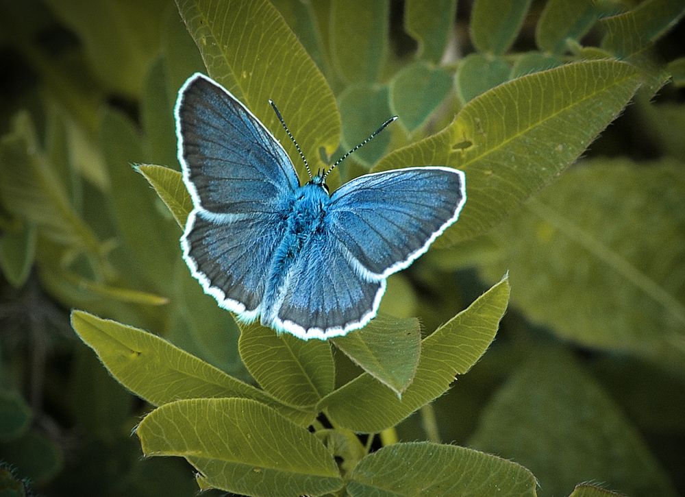 Photograph by Андрей Стрельников