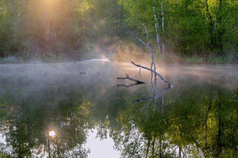 Фотография автора Ольга Егунова