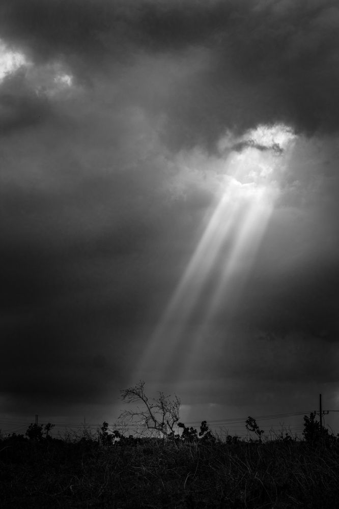 Photograph by Jankier Quincoces