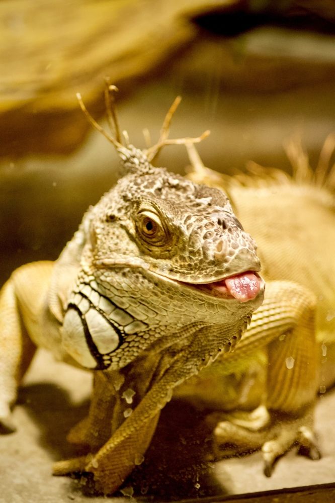 Photograph by Анастасия Полищук