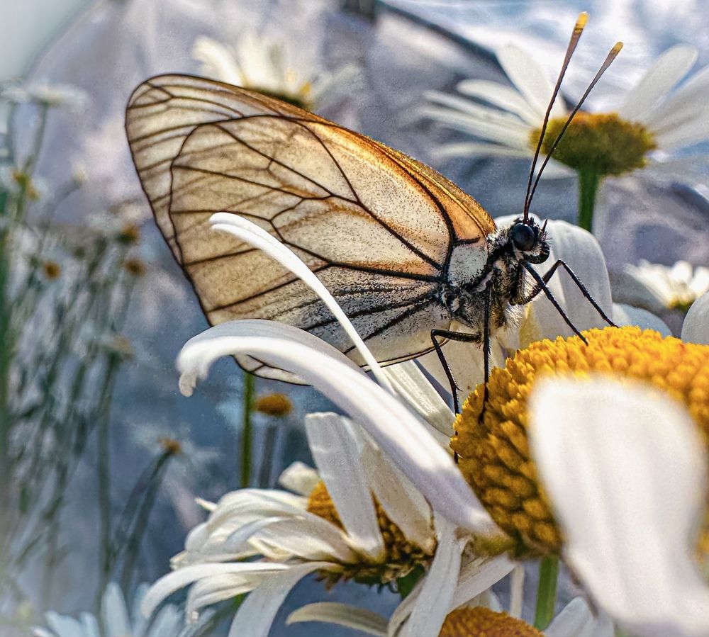 Photograph by Evgenia Privalova