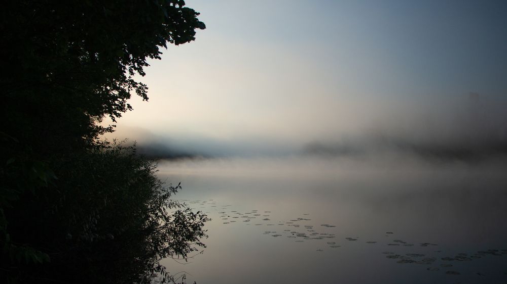 Photograph by Анжелика Сороколетова