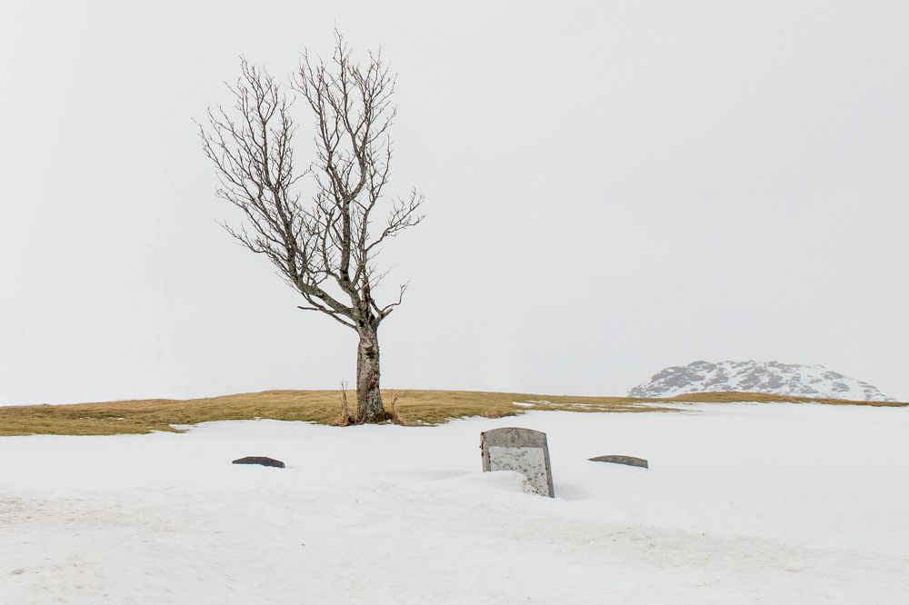 Фотография автора Claudio Sericano