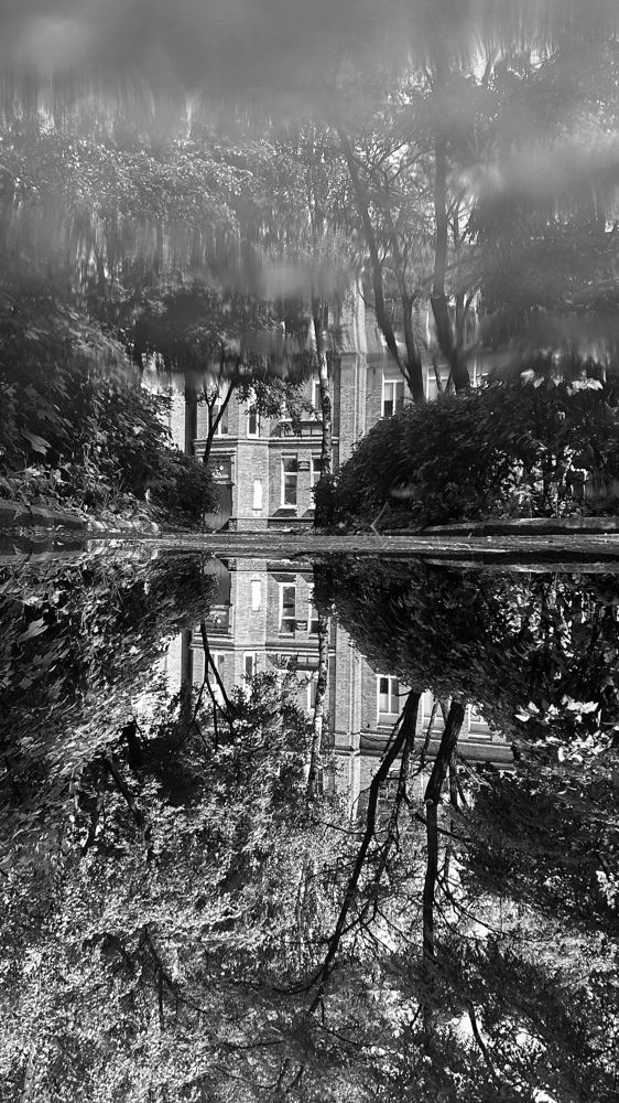 Photograph by Елена Гущина