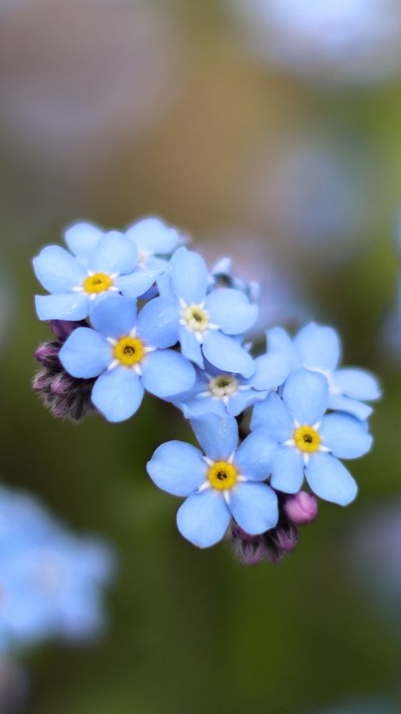 Photograph by Valeria Stepanova