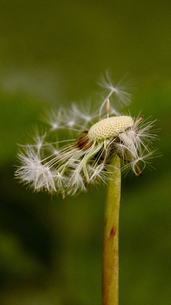 Photograph by Valeria Stepanova