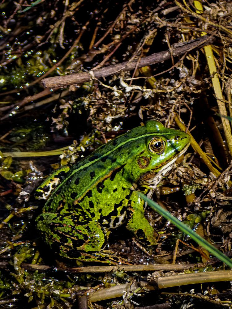 Photograph by Влад Апанасов