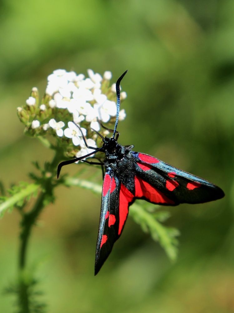 Photograph by Алексейчик Дмитрий