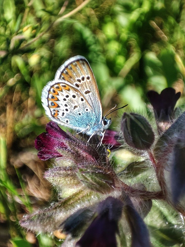 Photograph by Ольга Малина