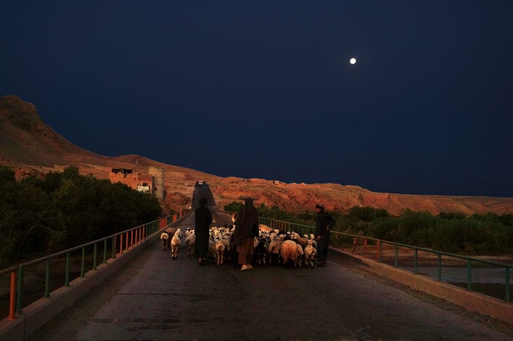 Photograph by Esmatullah Habibian