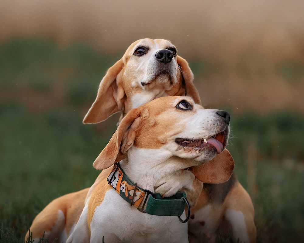 Photograph by Ольга