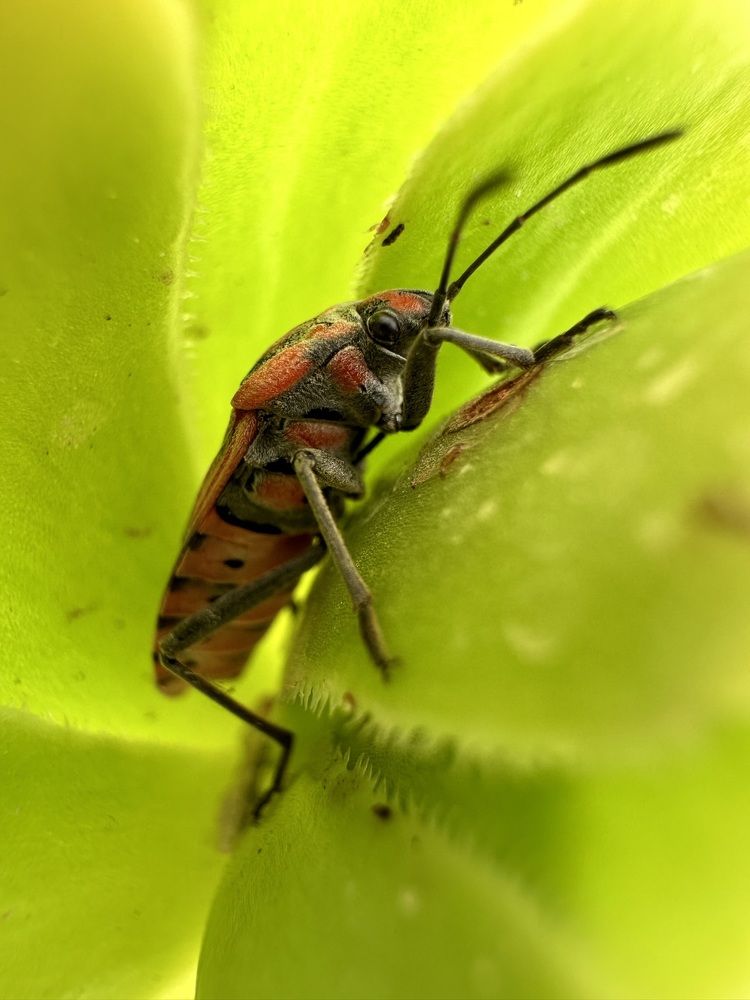 Photograph by Maha Rasheed