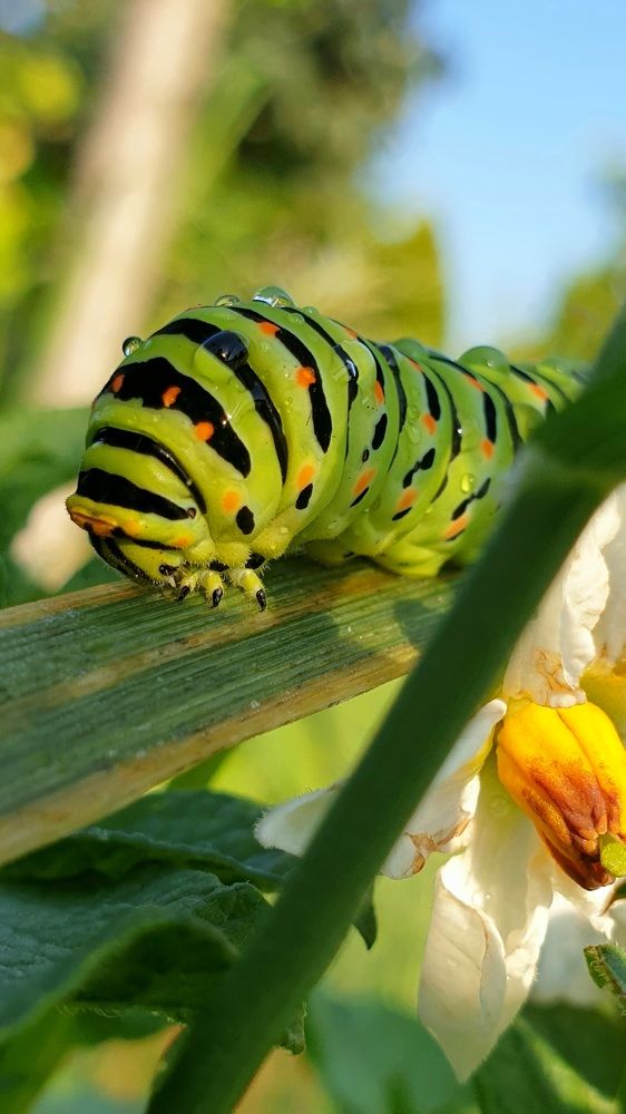 Photograph by Viktorova